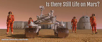 Is there Still Life on Mars?